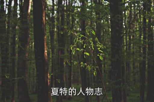 ivo機器人,Ⅴivo機器人叫什么
