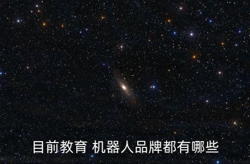 目前教育 機(jī)器人品牌都有哪些