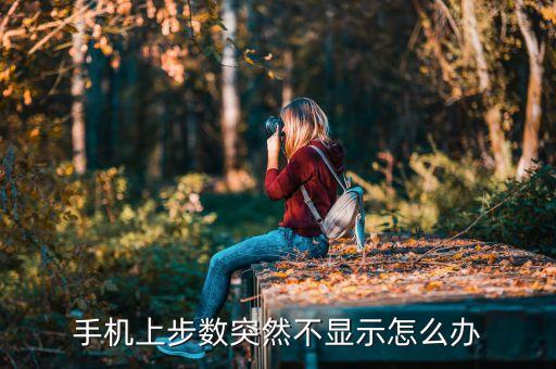 手機(jī)上步數(shù)突然不顯示怎么辦