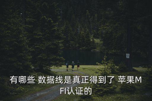 香港蘋果數(shù)據(jù)線品牌好,蘋果數(shù)據(jù)線品牌排行榜前十名