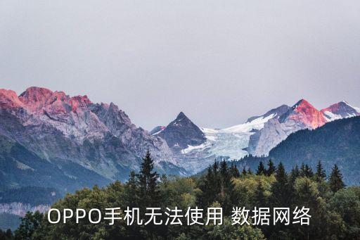 oppoa33移動數(shù)據(jù)用不了