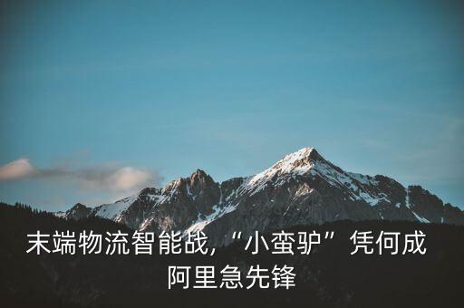 末端物流智能戰(zhàn),“小蠻驢”憑何成 阿里急先鋒
