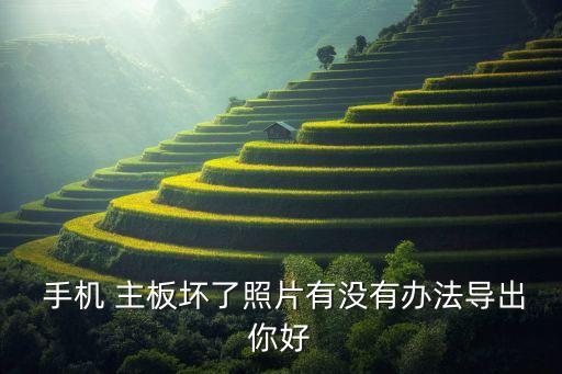 手機(jī)主板燒了數(shù)據(jù)提取,主板燒了的手機(jī)怎么提取里面的信息