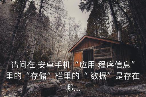 請問在 安卓手機(jī)“應(yīng)用 程序信息”里的“存儲”欄里的“ 數(shù)據(jù)”是存在哪...