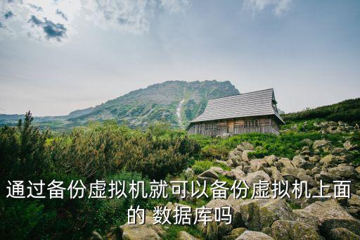 通過備份虛擬機就可以備份虛擬機上面的 數據庫嗎