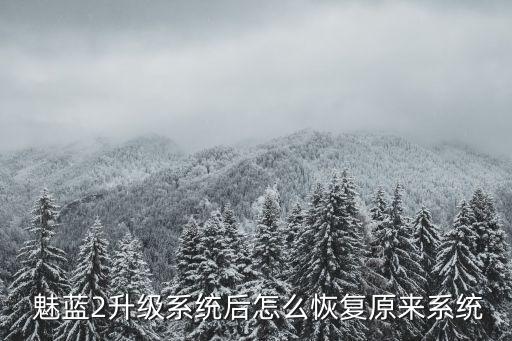 魅藍(lán)2備份數(shù)據(jù),iphone怎么恢復(fù)備份數(shù)據(jù)