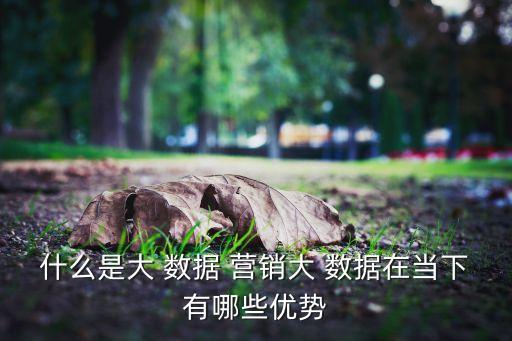 什么是大 數(shù)據(jù) 營銷大 數(shù)據(jù)在當下有哪些優(yōu)勢