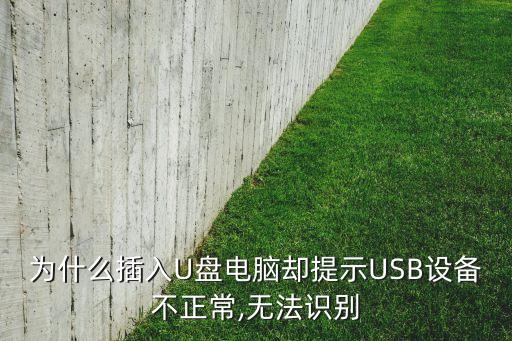 為什么插入U(xiǎn)盤電腦卻提示USB設(shè)備不正常,無法識(shí)別