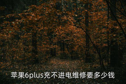 iphone6plus數(shù)據(jù)線多少錢,二手iphone6plus多少錢