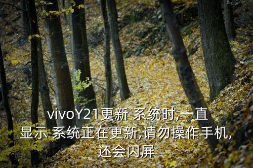 vivo系統(tǒng)自動升級不了,Vivo手機怎樣關(guān)閉系統(tǒng)自動升級