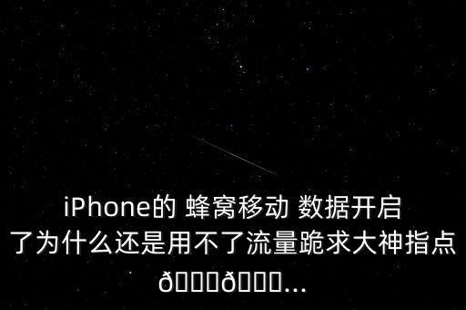 iPhone的 蜂窩移動(dòng) 數(shù)據(jù)開啟了為什么還是用不了流量跪求大神指點(diǎn)??...