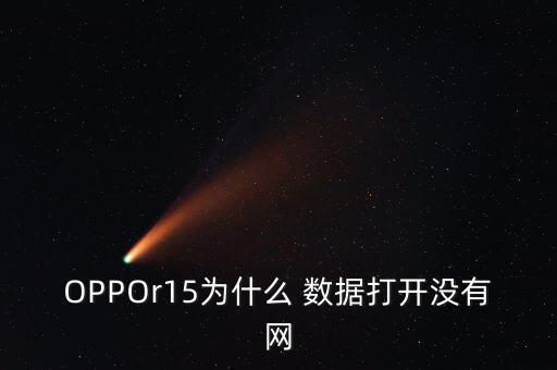 oppo手機開了數(shù)據(jù)沒網(wǎng)