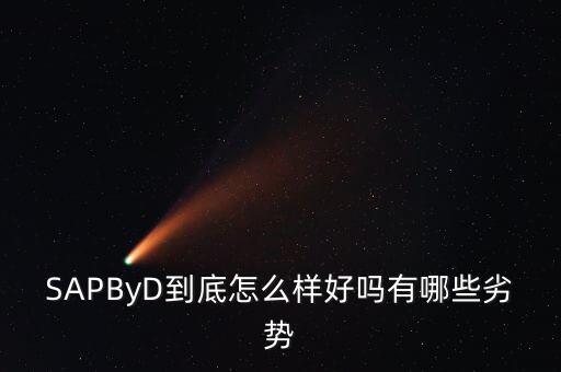 SAPByD到底怎么樣好嗎有哪些劣勢