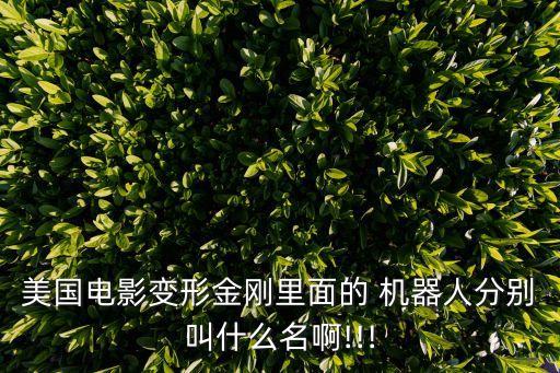 美國電影變形金剛里面的 機(jī)器人分別叫什么名啊!!!