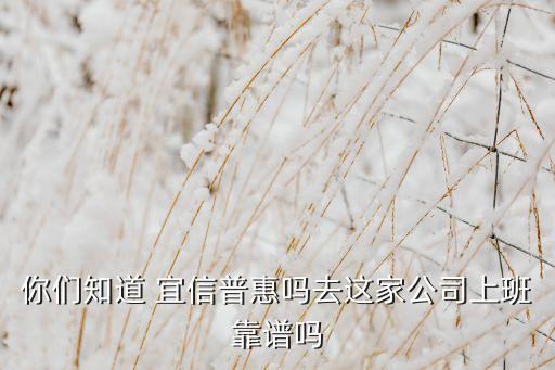 你們知道 宜信普惠嗎去這家公司上班靠譜嗎