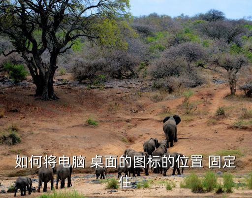 如何將電腦 桌面的圖標(biāo)的位置 固定住