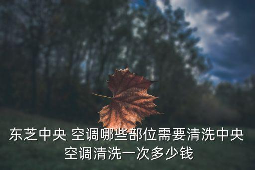 東芝中央 空調(diào)哪些部位需要清洗中央 空調(diào)清洗一次多少錢