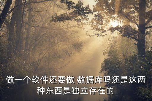 做一個軟件還要做 數(shù)據(jù)庫嗎還是這兩種東西是獨(dú)立存在的