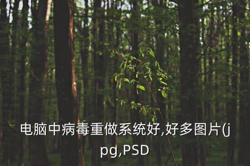 瑞星數(shù)據(jù)恢復中心