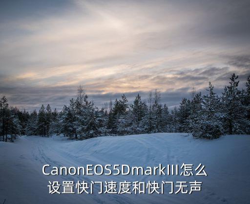 佳能eos5d自動(dòng)對(duì)焦,eos5d怎么設(shè)置自動(dòng)對(duì)焦
