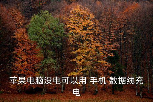 蘋果電腦沒電可以用 手機(jī) 數(shù)據(jù)線充電