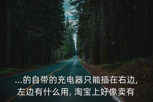 ...的自帶的充電器只能插在右邊,左邊有什么用, 淘寶上好像賣有