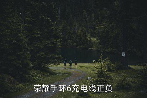 榮耀手環(huán)6充電線正負