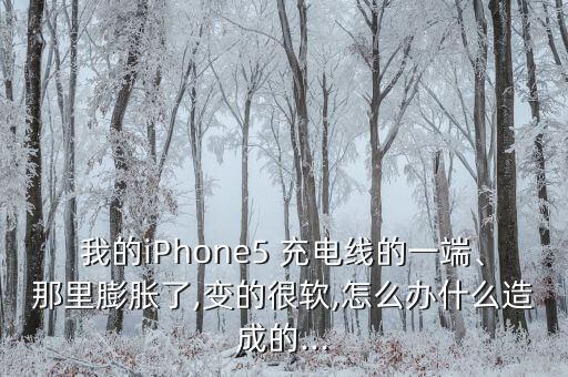我的iPhone5 充電線的一端、那里膨脹了,變的很軟,怎么辦什么造成的...