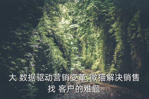 大 數(shù)據(jù)驅(qū)動(dòng)營(yíng)銷(xiāo)變革,微貓解決銷(xiāo)售找 客戶(hù)的難題