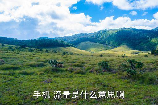 手機(jī) 流量是什么意思啊