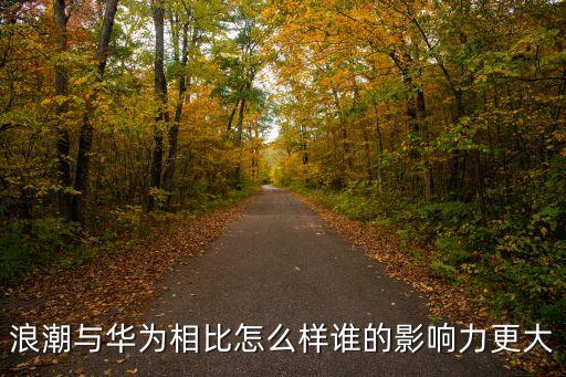 浪潮與華為相比怎么樣誰的影響力更大