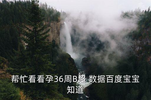 幫忙看看孕36周B超 數(shù)據(jù)百度寶寶知道