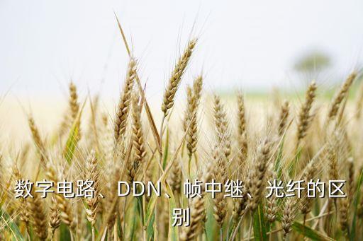 數(shù)字電路、DDN、幀中繼、光纖的區(qū)別