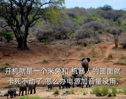 開機就是一個米兔和 機器人的畫面就卡死不動了,怎么辦電源加音量沒用...