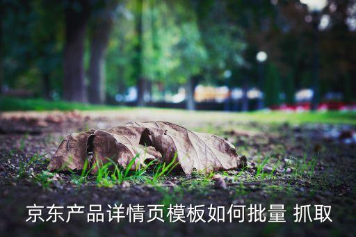 抓取京東數(shù)據(jù),手機(jī)抓取京東cookie