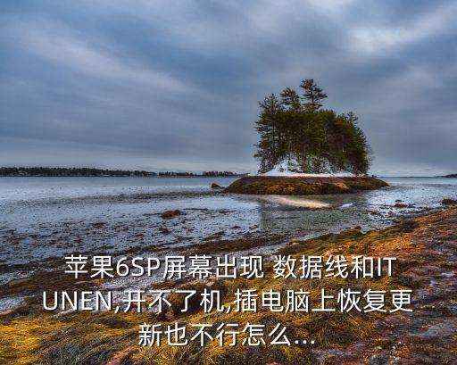  蘋果6SP屏幕出現(xiàn) 數(shù)據(jù)線和ITUNEN,開不了機,插電腦上恢復更新也不行怎么...