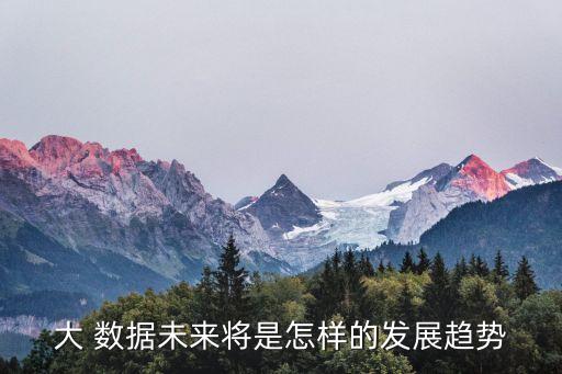 大 數(shù)據(jù)未來將是怎樣的發(fā)展趨勢(shì)