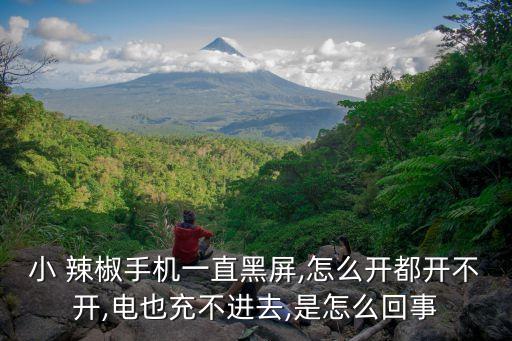 小辣椒 機器人
