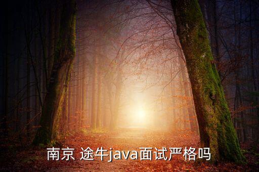 南京 途牛java面試嚴(yán)格嗎