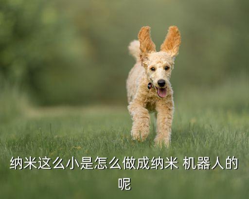 納米這么小是怎么做成納米 機(jī)器人的呢