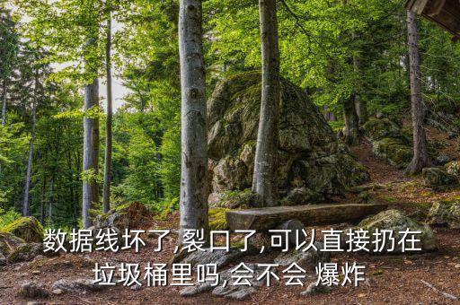  數(shù)據(jù)線壞了,裂口了,可以直接扔在垃圾桶里嗎,會不會 爆炸