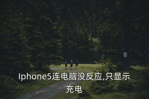 Iphone5連電腦沒反應,只顯示充電