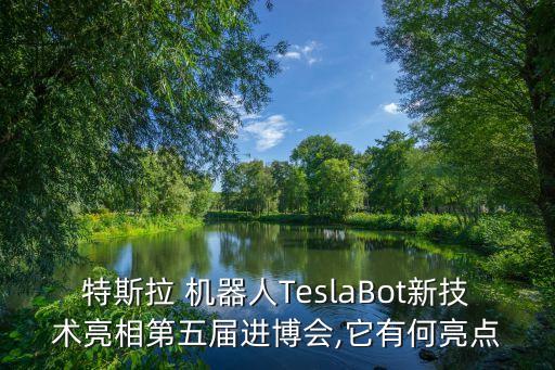 特斯拉 機器人TeslaBot新技術亮相第五屆進博會,它有何亮點
