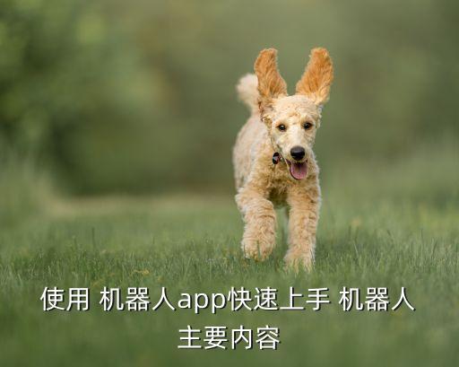 使用 機(jī)器人app快速上手 機(jī)器人主要內(nèi)容