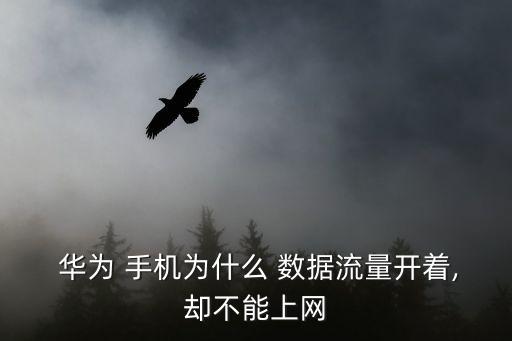  華為 手機(jī)為什么 數(shù)據(jù)流量開(kāi)著,卻不能上網(wǎng)