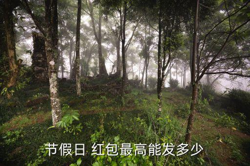 除夕微信紅包大數(shù)據(jù)