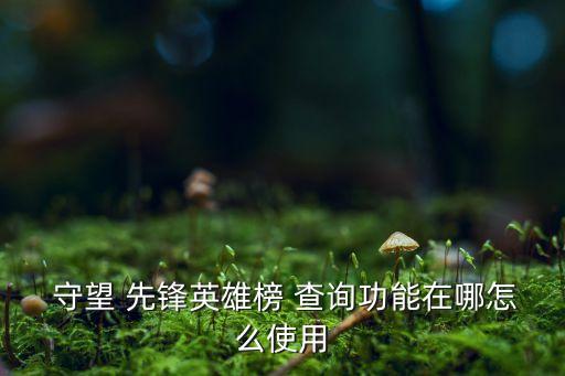 守望先鋒個(gè)人數(shù)據(jù)查詢