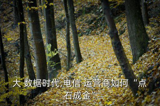運(yùn)營(yíng)商的大數(shù)據(jù)