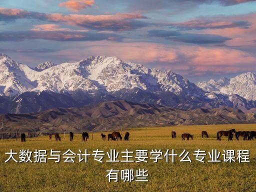 大數(shù)據(jù)與會計專業(yè)主要學(xué)什么專業(yè)課程有哪些