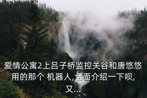 愛(ài)情公寓2上呂子橋監(jiān)控關(guān)谷和唐悠悠用的那個(gè) 機(jī)器人,全面介紹一下唄,又...